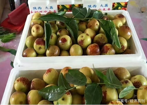 新冠肺炎疫情對水果價格的影響及應對措施