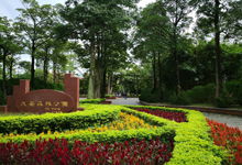 澎湖大安森林公園天氣預報與景觀設計指南